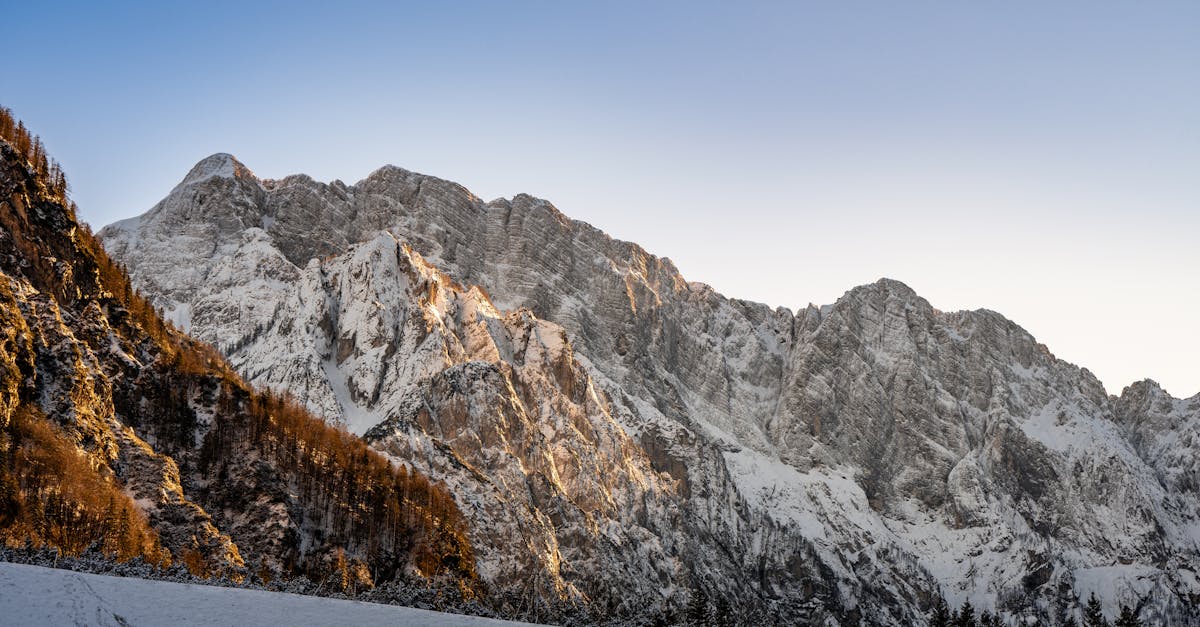 assu 2000 est un acteur majeur de l'assurance en france, offrant des solutions personnalisées pour la protection automobile, habitation, santé et prévoyance. découvrez des offres compétitives et un accompagnement professionnel pour répondre à tous vos besoins en matière d'assurance.