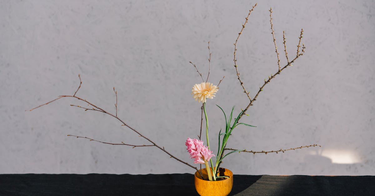 découvrez des stratégies efficaces pour maximiser l'efficacité de votre entreprise grâce à l'optimisation des processus, l'analyse des performances et l'amélioration continue. transformez votre modèle d'affaires et augmentez votre rentabilité dès aujourd'hui.