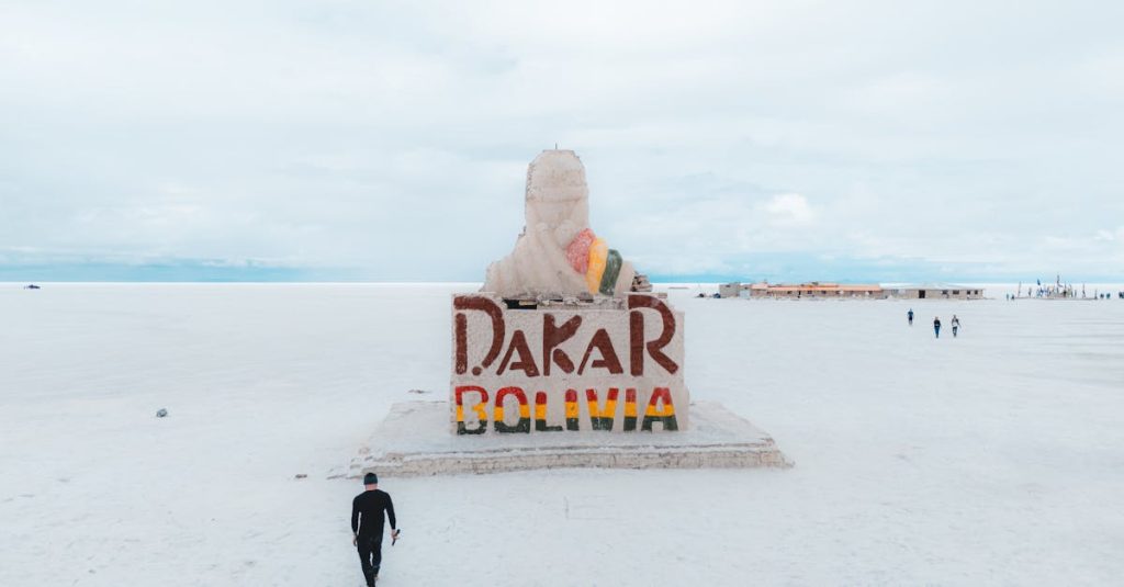 découvrez dakar, la vibrante capitale du sénégal, riche en culture, en histoire et en paysages magnifiques. explorez ses marchés colorés, ses plages ensoleillées et son ambiance festive, tout en vous imprégnant de la chaleur de son peuple. un voyage inoubliable vous attend à dakar.