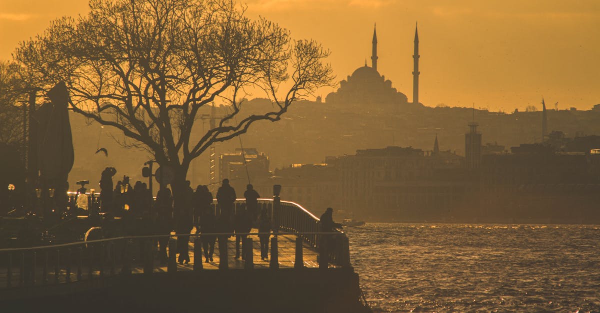 découvrez l'importance de l'héritage culturel et historique, explorez les traditions, les valeurs et les symboles qui façonnent notre identité collective et celle des générations futures. plongez dans un voyage d'apprentissage et de réflexion sur l'héritage qui nous unit.