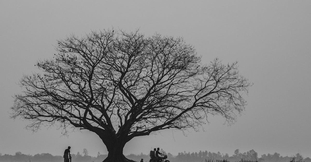 découvrez notre assurance moto adaptée à vos besoins. protégez votre deux-roues avec des couvertures complètes et des tarifs compétitifs. roulez en toute sérénité !