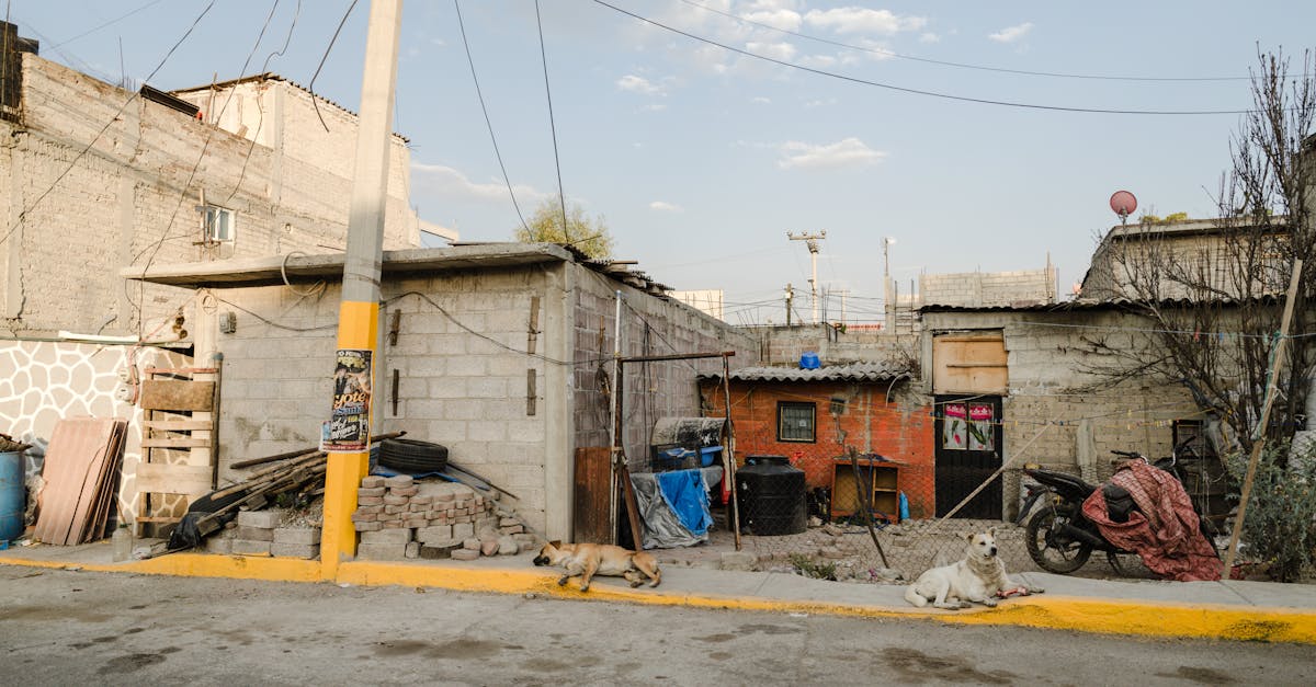 découvrez nos options d'assurance moto adaptées à vos besoins. protégez votre véhicule avec une couverture complète à des tarifs compétitifs. obtenez un devis personnalisé en quelques clics !