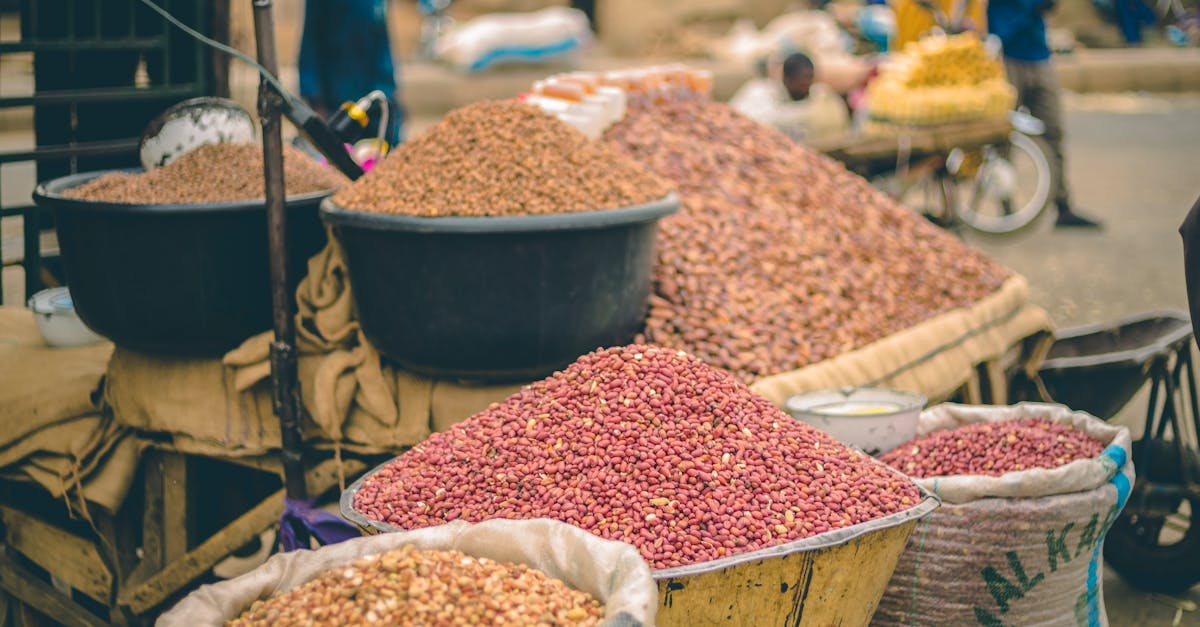 découvrez des stratégies efficaces pour optimiser vos ventes et maximiser vos performances commerciales. améliorez votre processus de vente, augmentez votre taux de conversion et atteignez vos objectifs grâce à des techniques éprouvées en optimisation des ventes.