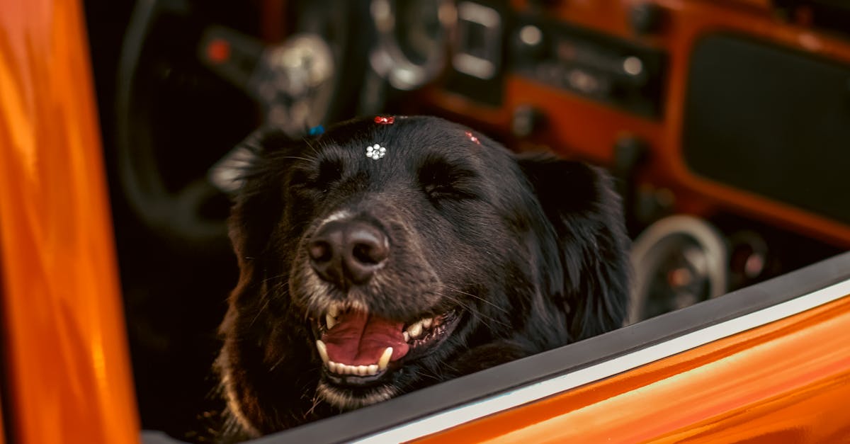 découvrez notre guide complet sur l'assurance auto : comparez les meilleures offres, comprenez les garanties essentielles et trouvez la couverture adaptée à vos besoins. protégez votre véhicule et votre budget avec des conseils d'experts.