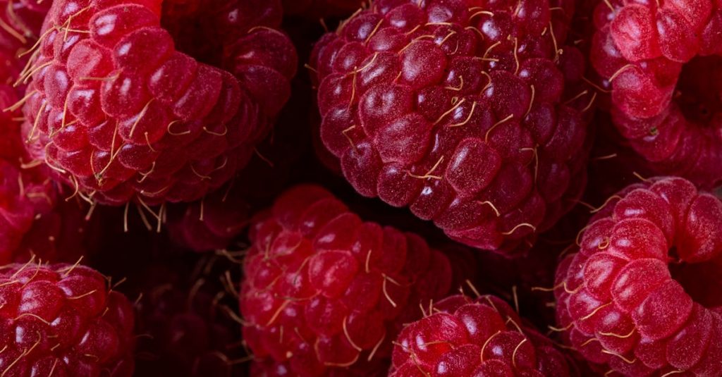 découvrez les avantages et les bénéfices essentiels qui peuvent transformer votre quotidien. explorez comment ces atouts peuvent améliorer votre qualité de vie, optimiser votre productivité et enrichir vos relations.