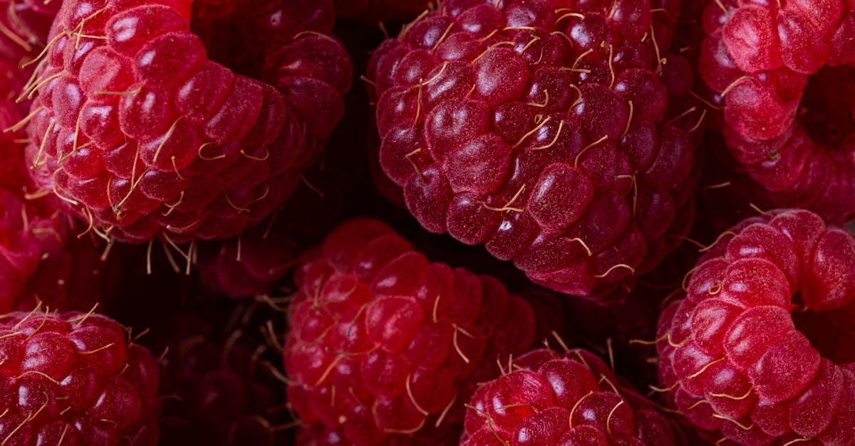 découvrez les avantages et les bénéfices essentiels qui peuvent transformer votre quotidien. explorez comment ces atouts peuvent améliorer votre qualité de vie, optimiser votre productivité et enrichir vos relations.