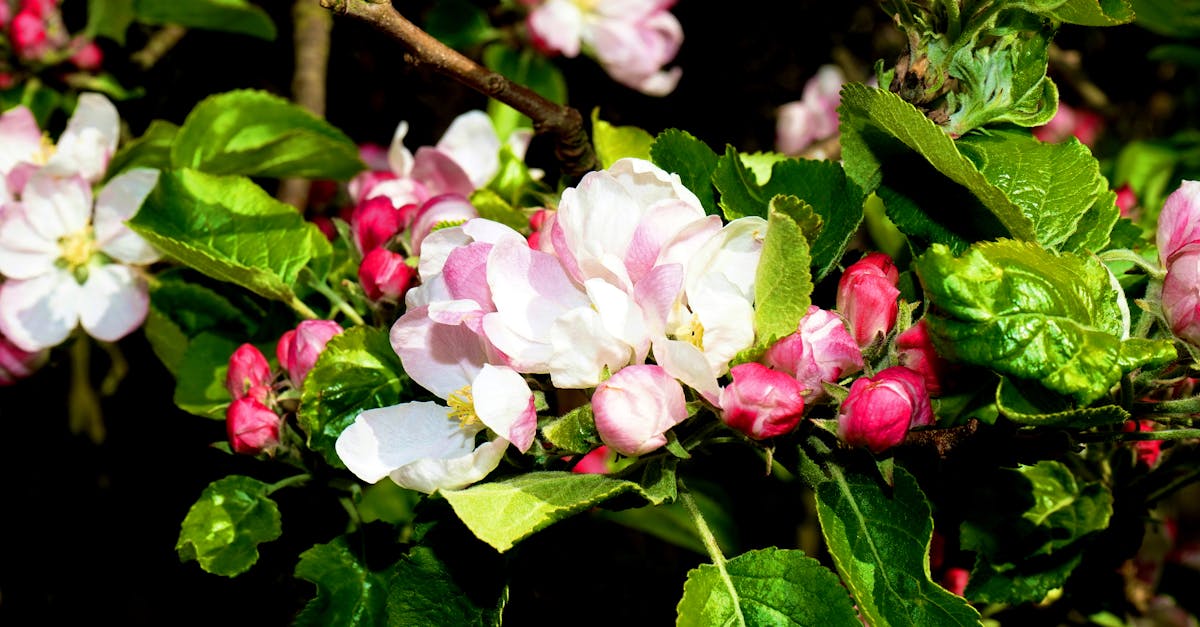 découvrez le fonctionnement du système de bonus-malus en assurance automobile, qui récompense les conducteurs prudents tout en pénalisant les comportements à risque. informez-vous sur les différents critères qui influent sur votre prime et apprenez à optimiser votre assurance.