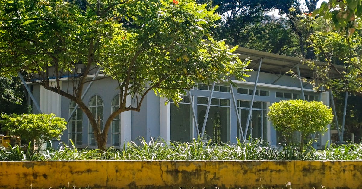 découvrez nos solutions de prêt auto adaptées à vos besoins. obtenez un financement rapide et flexible pour l'achat de votre voiture. comparez les taux et bénéficiez des meilleures offres du marché.