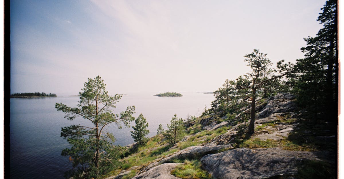 découvrez le système de bonus-malus écologique, un mécanisme incitatif visant à encourager les comportements responsables envers l'environnement tout en rétribuant les efforts de réduction des impacts écologiques. apprenez comment il fonctionne et comment il peut bénéficier à votre empreinte carbone.