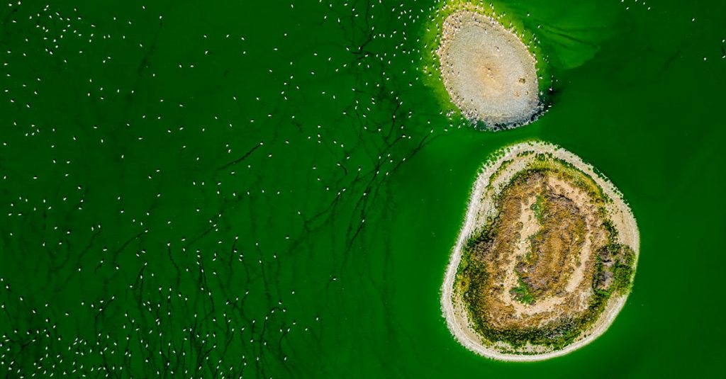 découvrez le système de bonus-malus écologique, une initiative visant à encourager les comportements responsables en matière d'environnement. apprenez comment ce dispositif peut récompenser les actions positives et pénaliser les pratiques nuisibles, tout en contribuant à la protection de notre planète.