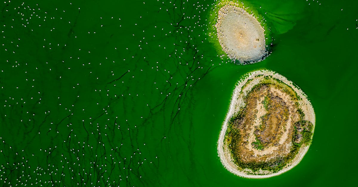 découvrez le système de bonus-malus écologique, une initiative visant à encourager les comportements responsables en matière d'environnement. apprenez comment ce dispositif peut récompenser les actions positives et pénaliser les pratiques nuisibles, tout en contribuant à la protection de notre planète.