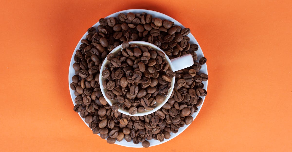 découvrez notre guide complet sur le 'full coverage' : une protection d'assurance optimale pour votre véhicule. apprenez comment choisir la meilleure couverture, les avantages qu'elle offre et les aspects à considérer pour une tranquillité d'esprit sur la route.