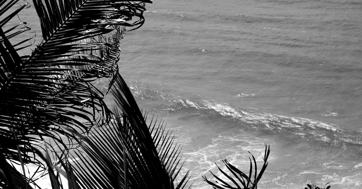 découvrez la maif, une mutuelle d'assurance dédiée à vous protéger au quotidien. bénéficiez d'offres adaptées, d'un service client de qualité et d'un engagement responsable envers la société. rejoignez-nous pour une assurance innovante et solidaire.