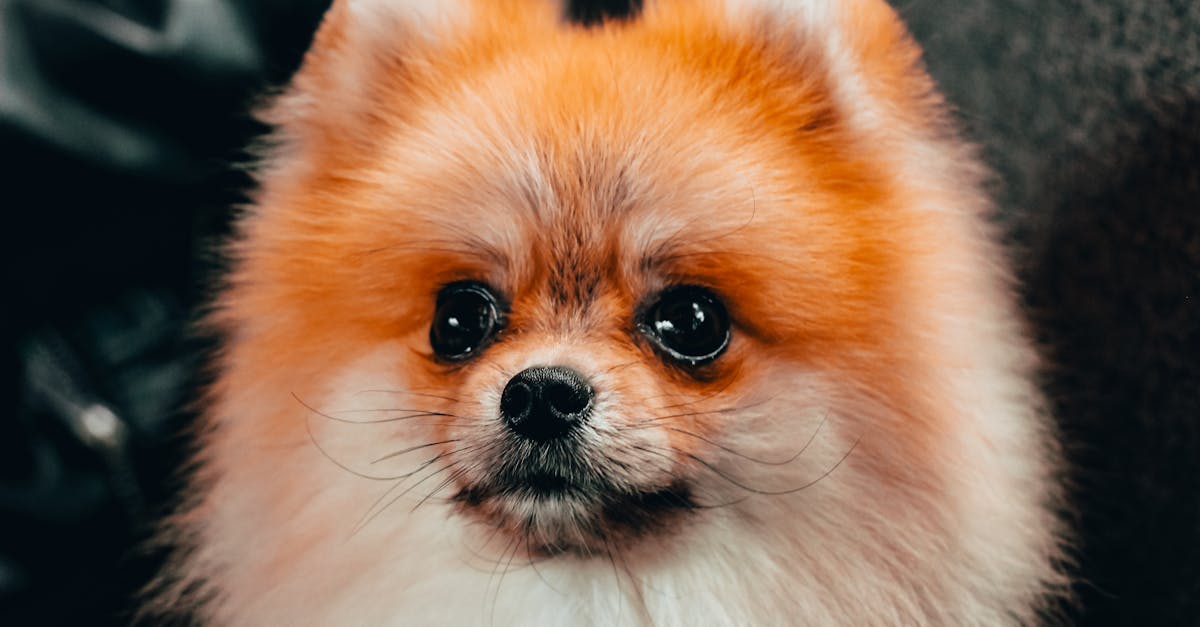 découvrez maif, l'assureur engagé pour votre protection et votre bien-être. profitez de nos offres adaptées à vos besoins en assurance auto, habitation, santé et prévoyance. ensemble, construisons un avenir serein.