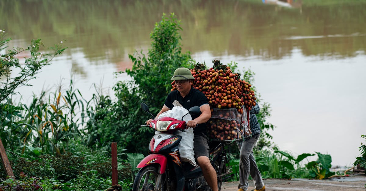 découvrez nos solutions d'assurance pour motos, adaptées à vos besoins et votre budget. protégez votre véhicule avec des garanties complètes et bénéficiez de conseils d'experts pour rouler sereinement.