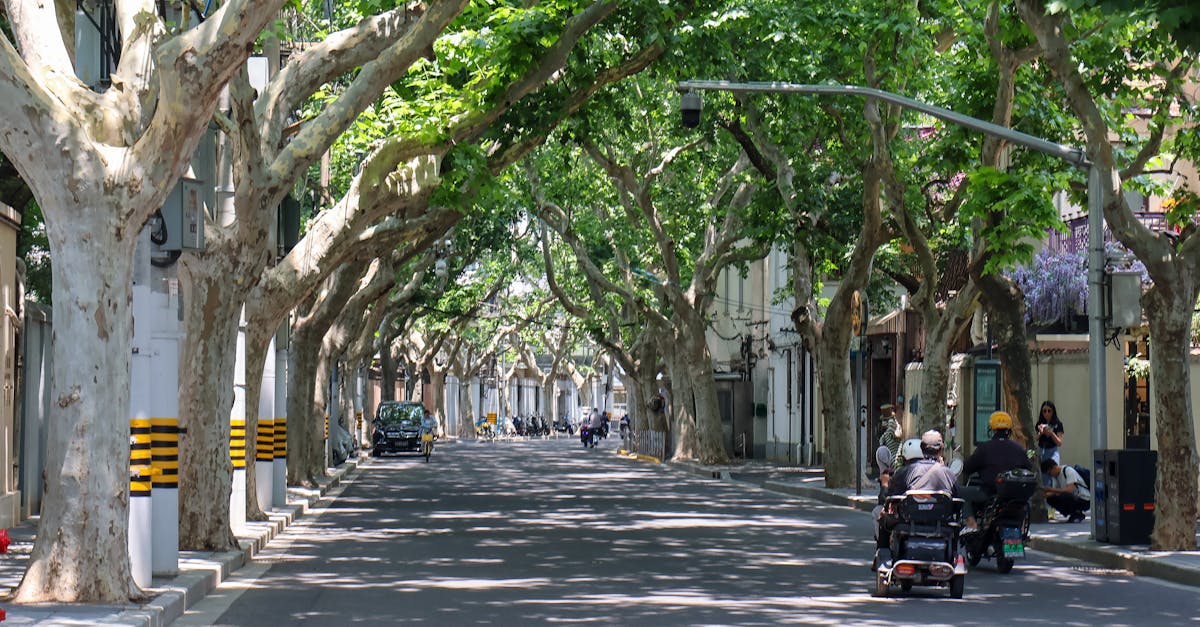 obtenez votre devis d'assurance moto en quelques étapes simples. comparez les meilleures offres et trouvez la couverture qui vous convient le mieux pour rouler en toute sécurité et sérénité.