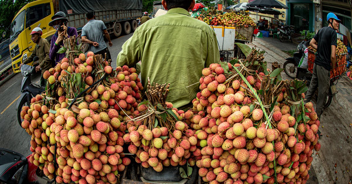obtenez votre devis d'assurance moto en quelques clics et choisissez la couverture qui vous convient le mieux. comparez les offres et protégez votre véhicule avec des tarifs avantageux.