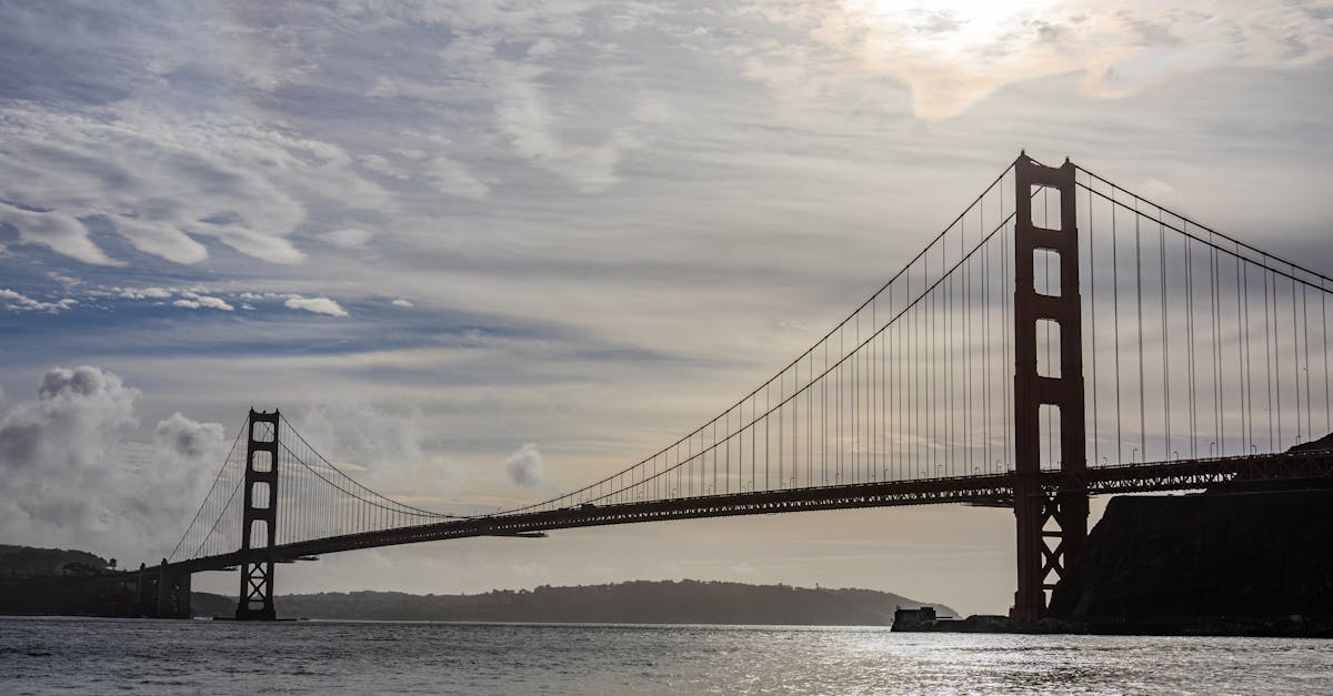 découvrez pacifica, une entreprise innovante spécialisée dans le bien-être et la beauté. explorez nos produits naturels et bio, conçus pour prendre soin de votre peau et de votre esprit. plongez dans un univers de douceur et de sérénité, où chaque article est un pas vers une vie plus équilibrée.