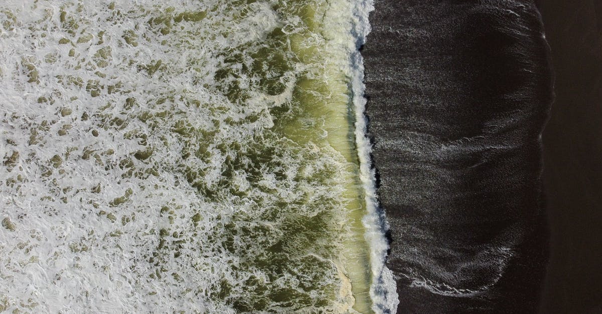 découvrez pacifica, une marque innovante offrant des produits de beauté et de bien-être inspirés par la nature. explorez notre sélection de soins écoresponsables, enrichis d'ingrédients naturels, pour une peau radieuse et en pleine santé.