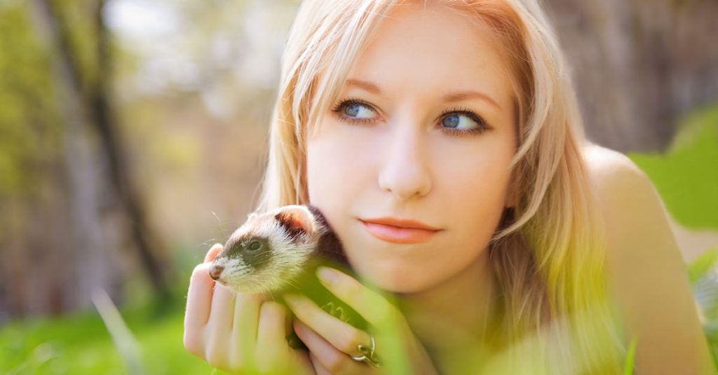 découvrez tout ce qu'il faut savoir sur les furets : leur comportement, leur habitat, leur alimentation et comment en prendre soin. plongez dans l'univers fascinant de ces compagnons espiègles et affectueux.