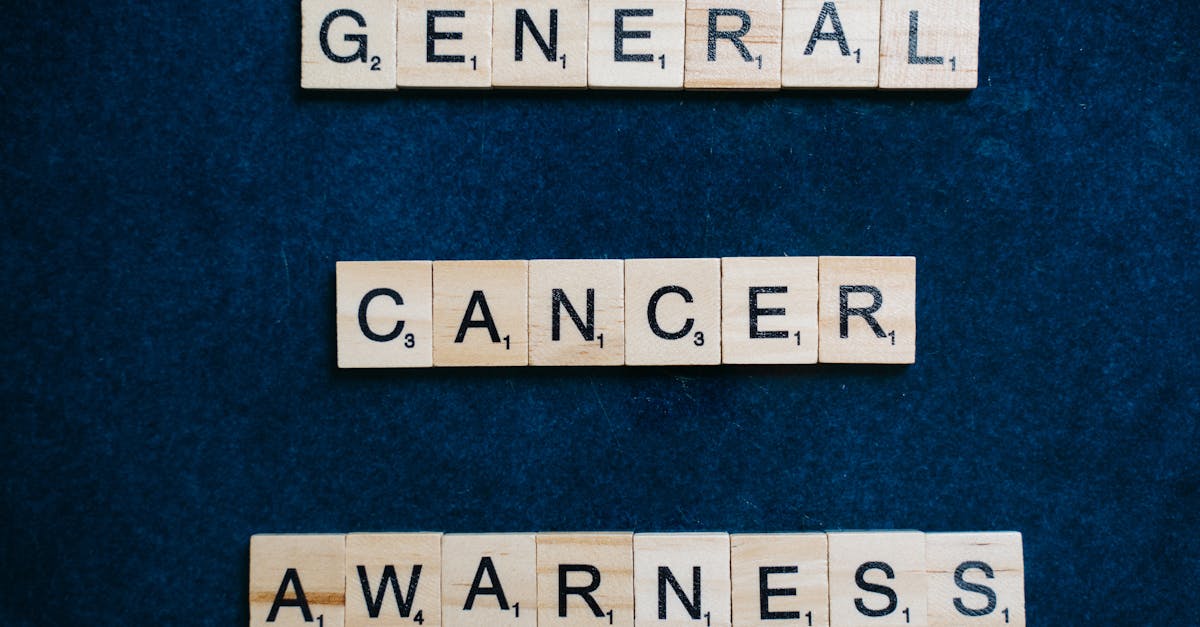 découvrez nos conditions générales qui encadrent nos services et garantissent une expérience transparente et sécurisée. informez-vous sur vos droits et obligations.