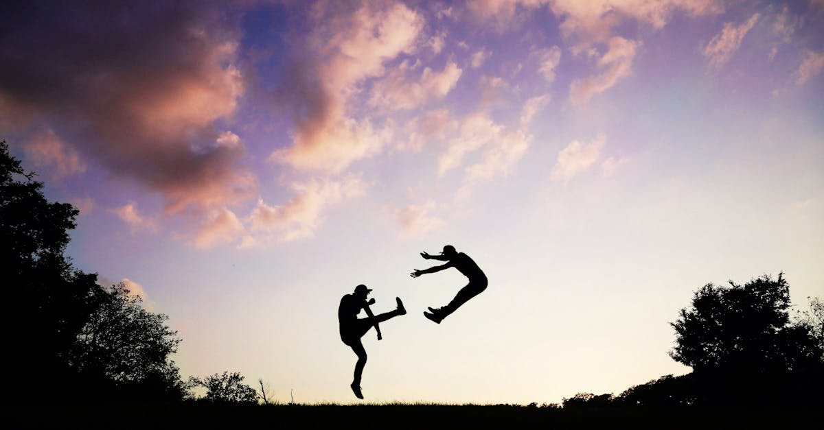 découvrez l'univers des arts martiaux avec des techniques variées, des traditions riches et des avantages pour le corps et l'esprit. que vous soyez débutant ou pratiquant avancé, plongez dans cet art de combat et améliorez votre discipline, votre force et votre concentration.