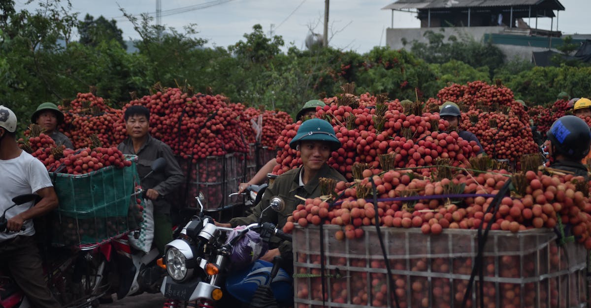 découvrez notre simulateur d'assurance moto pour comparer facilement les offres et trouver la couverture adaptée à vos besoins. protégez votre deux-roues avec des tarifs compétitifs et des options personnalisables.