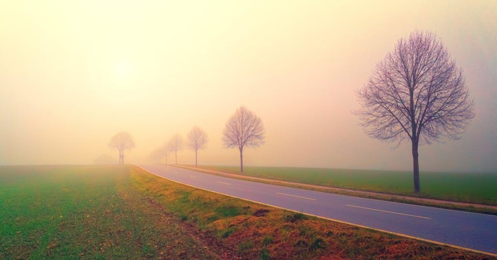 découvrez le concept de sérénité à travers des pratiques apaisantes et des conseils pour cultiver le calme intérieur. apprenez à gérer le stress et à trouver l'équilibre dans votre vie quotidienne.