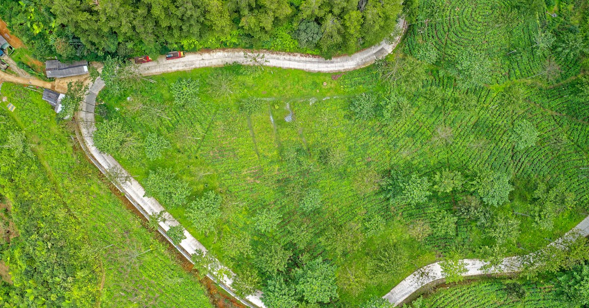 découvrez notre large sélection de voitures d'occasion de qualité, adaptées à tous les budgets et tous les besoins. profitez de véhicules inspectés et certifiés, ainsi que de services dédiés pour un achat en toute confiance.